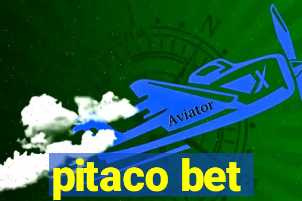 pitaco bet